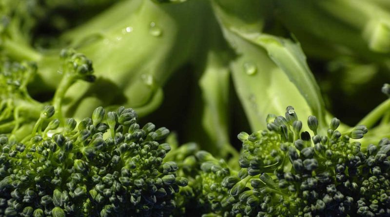i diabetici possono mangiare i broccoli