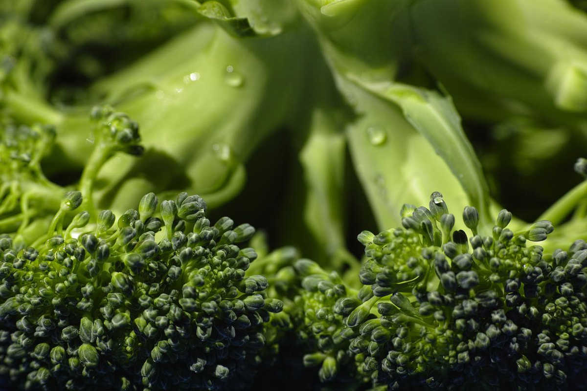 I Diabetici Possono Mangiare I Broccoli Telestrada